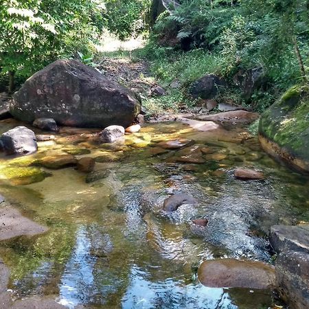 Hotel Fazenda Monte Crista Rio Bonito  ภายนอก รูปภาพ