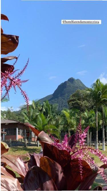 Hotel Fazenda Monte Crista Rio Bonito  ภายนอก รูปภาพ